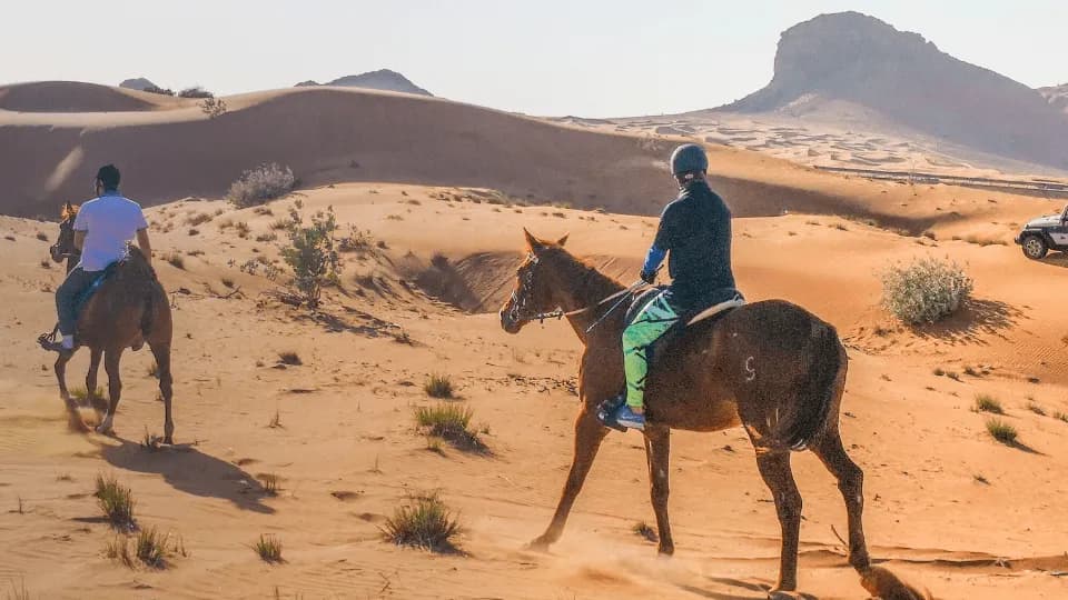 Horse Back Riding Desert Hack - Image 1